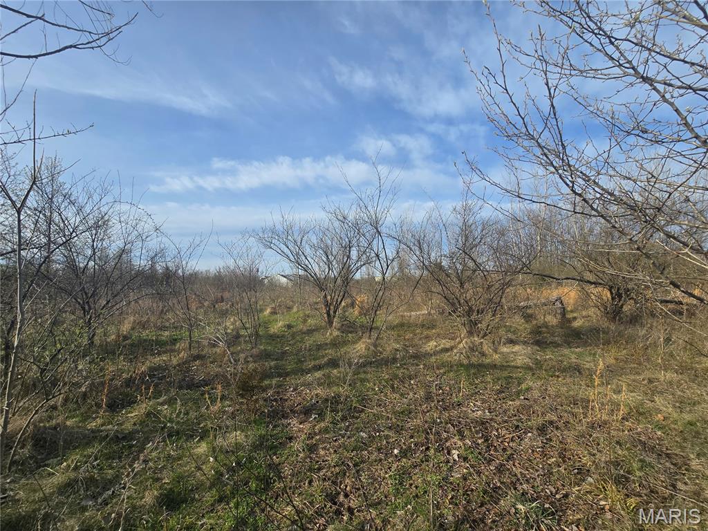 Franz Boedefeld Estate - Land