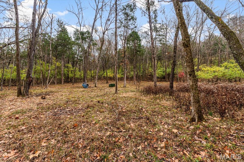 Black Bear Ridge Estates - Land