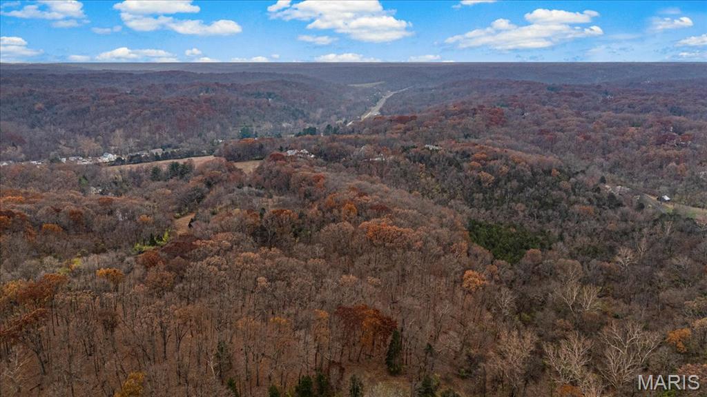 Black Bear Ridge Estates - Land