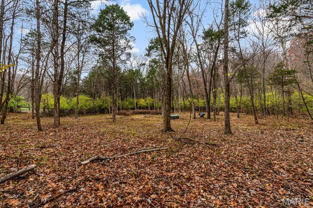 Black Bear Ridge Estates - Land