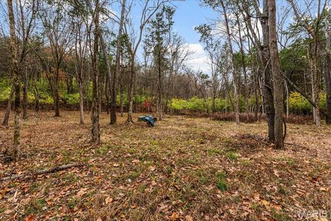 Tiny photo for 3701 Bear Tooth Lane, Wildwood, MO 63069 (MLS # 25078921)