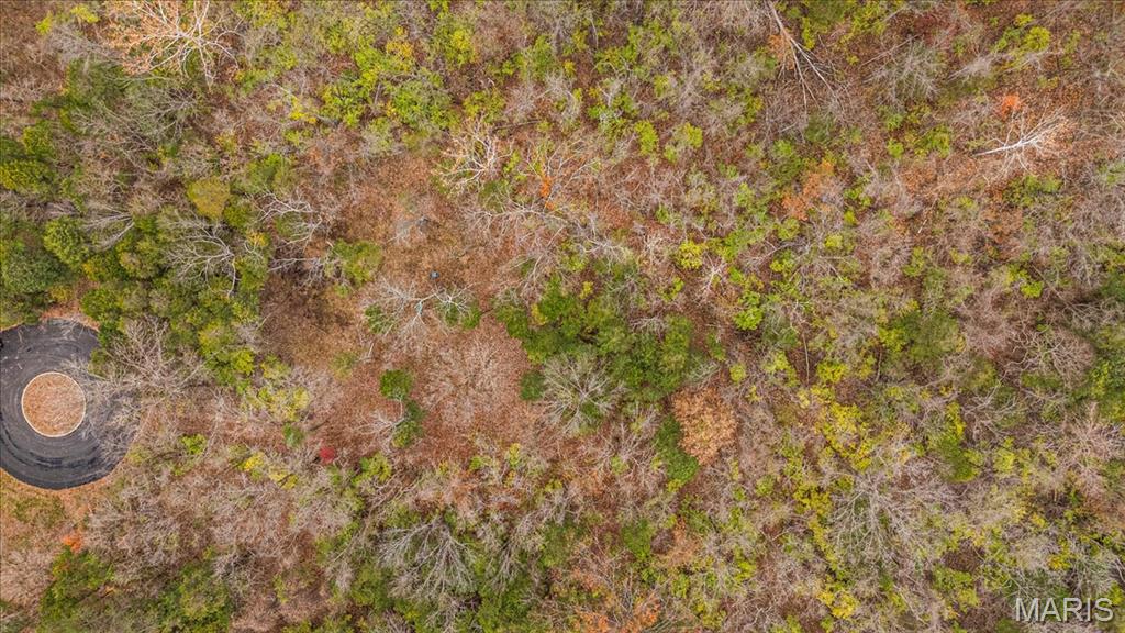 3701 Bear Tooth Lane