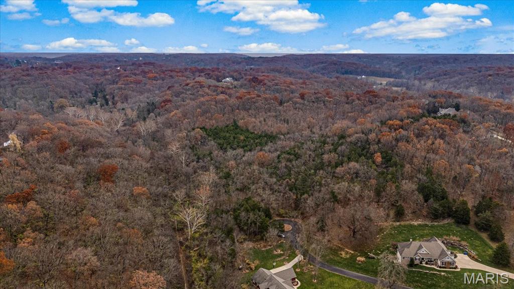 Black Bear Ridge Estates - Land