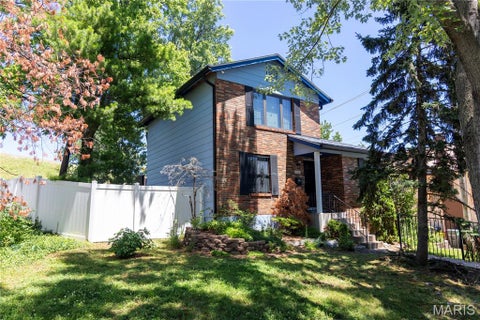 Photo of 6941 Wise Avenue, St Louis, MO 63139 (MLS # 26037592)