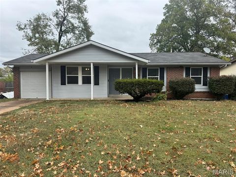 675 Lawnview Drive Florissant MO 63031