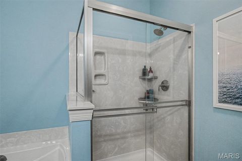 Tiny photo for 310 Haycastle Drive, OFallon, MO 63367 (MLS # 26011208)