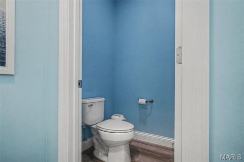 Tiny photo for 310 Haycastle Drive, OFallon, MO 63367 (MLS # 26011208)