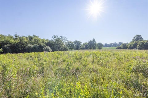 Tiny photo for 00 Monroe Road 649, Perry, MO 63462 (MLS # 26047264)
