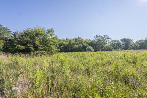 Tiny photo for 00 Monroe Road 649, Perry, MO 63462 (MLS # 26047264)