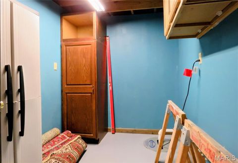Tiny photo for 1604 Tamarack Drive, St Charles, MO 63301 (MLS # 26026738)