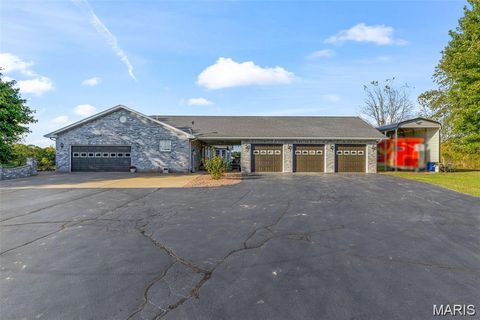 Photo of 857 County road 31, Bismarck, MO 63624 (MLS # 25078908)