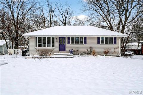 Photo of 215 Hutchinson Road, Ellisville, MO 63011 (MLS # 25079989)