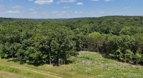 8 Tanglefoot Farms Road Festus MO 63028