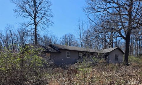 Photo of 12496 Eveningshade Road, Plato, MO 65552 (MLS # 26017099)