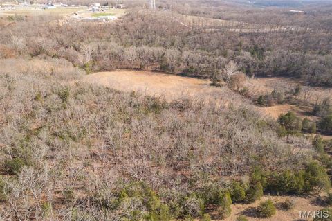 0 LOT 2 Brickyard Rd Hillsboro MO 63050