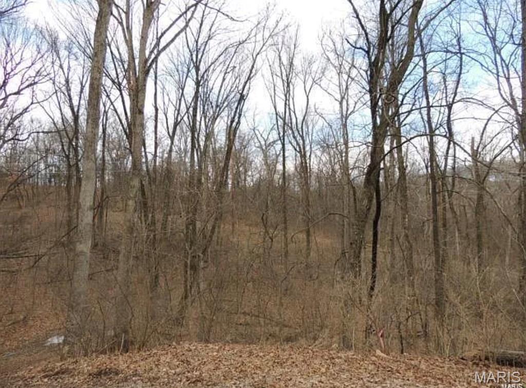 Chesterfield Forest - Land