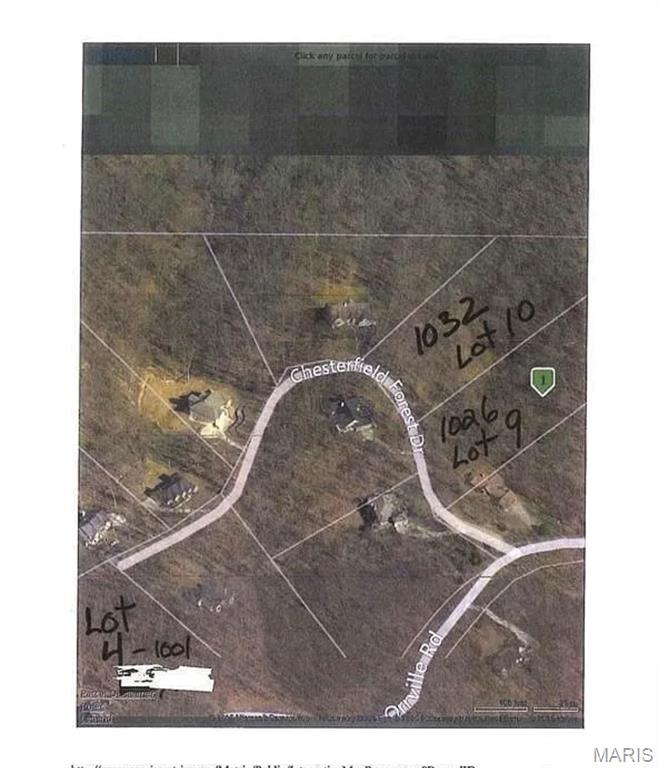 Chesterfield Forest - Land