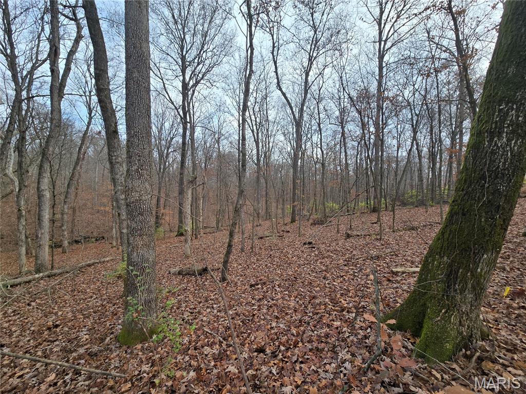 Bourbeuse Bluff Estates - Land