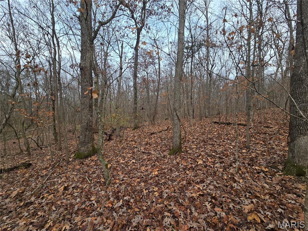 Bourbeuse Bluff Estates - Land