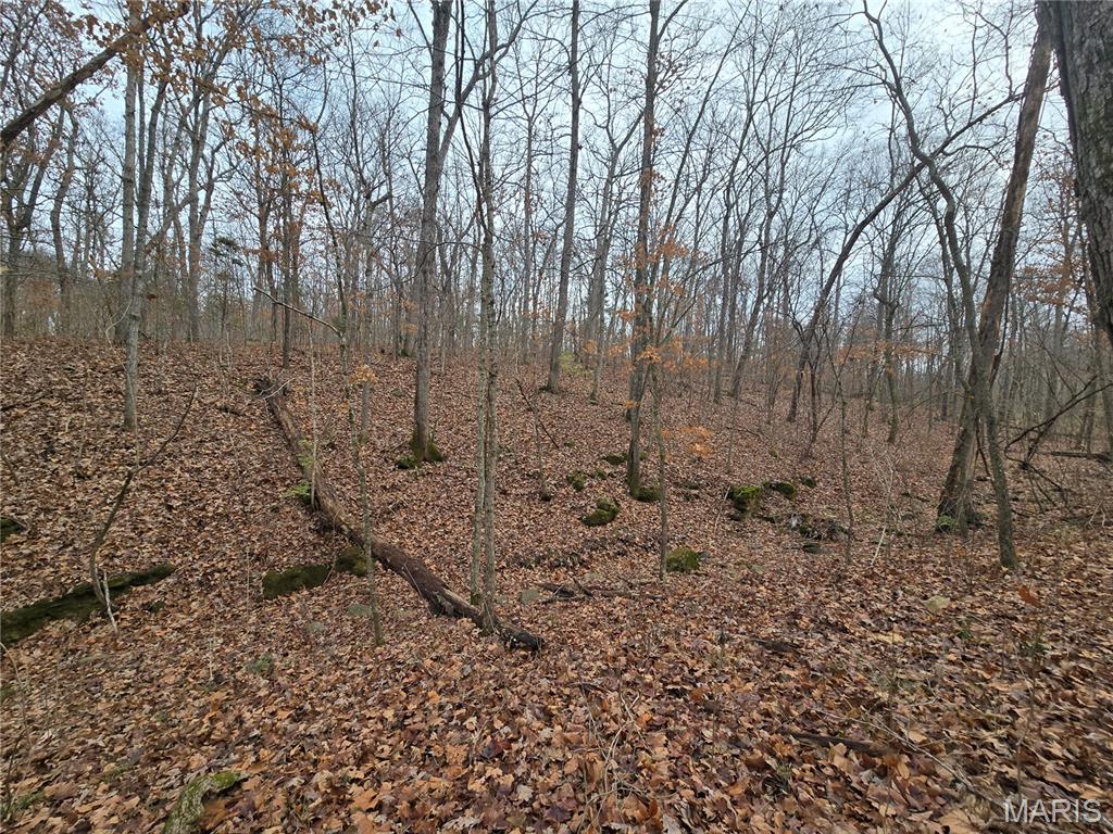 Bourbeuse Bluff Estates - Land