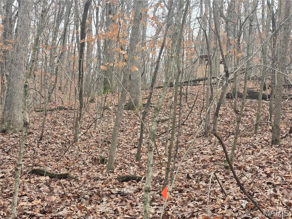 Bourbeuse Bluff Estates - Land