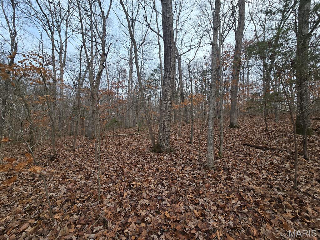 Bourbeuse Bluff Estates - Land