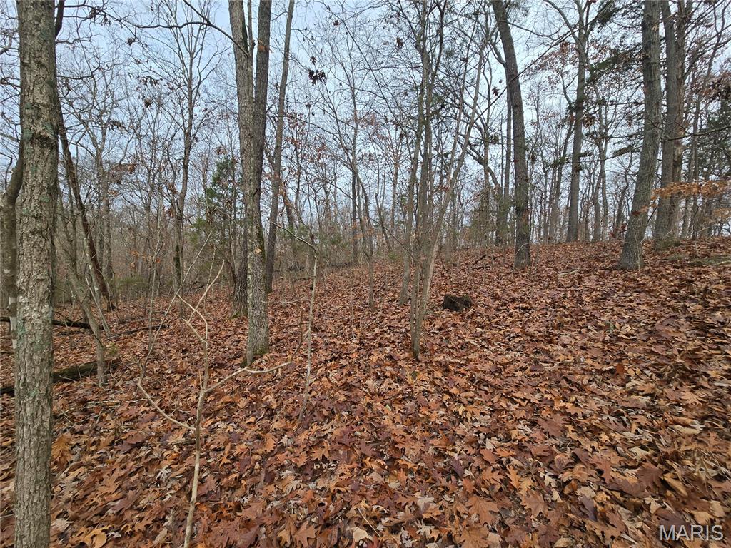 Bourbeuse Bluff Estates - Land