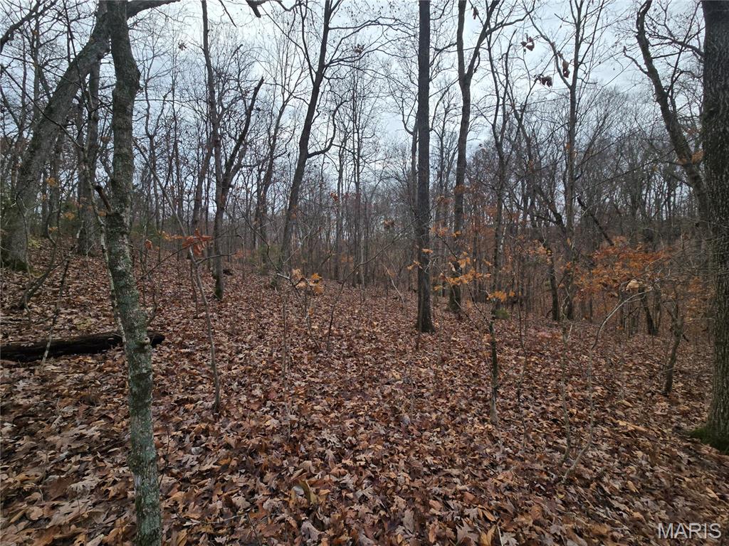 Bourbeuse Bluff Estates - Land