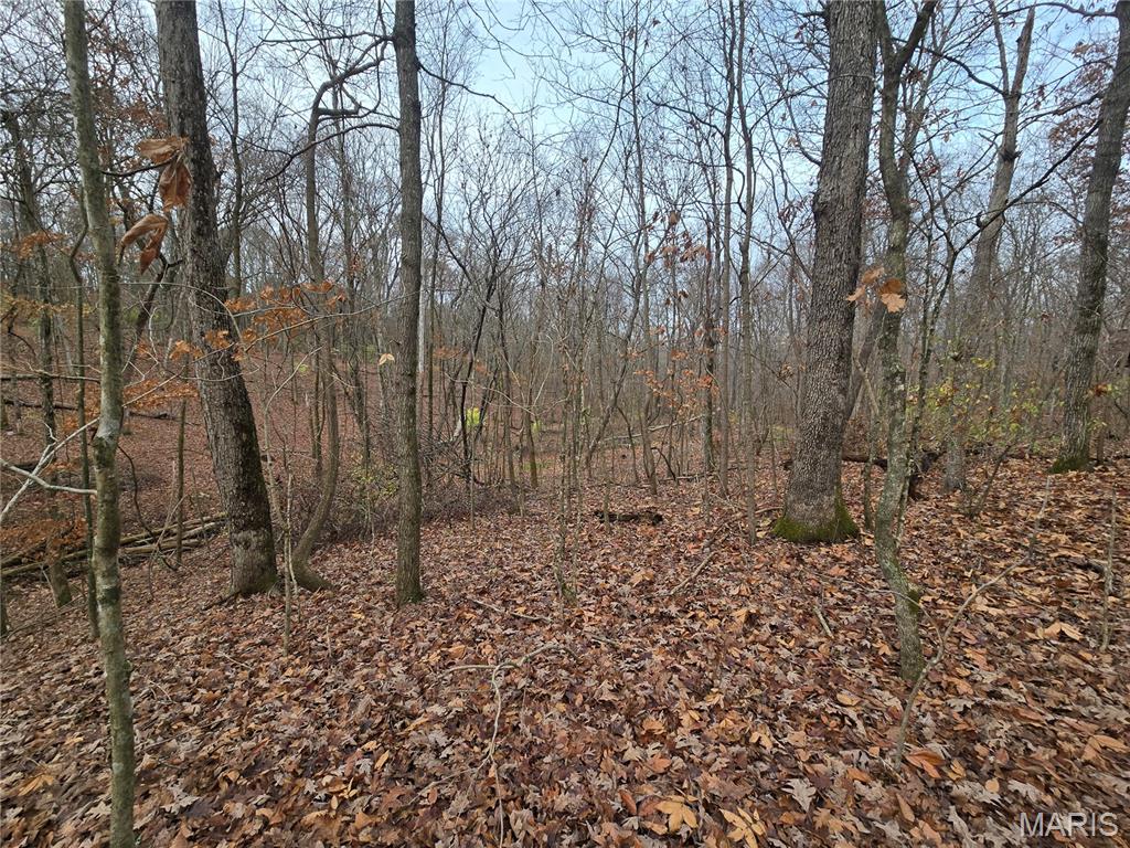 Bourbeuse Bluff Estates - Land