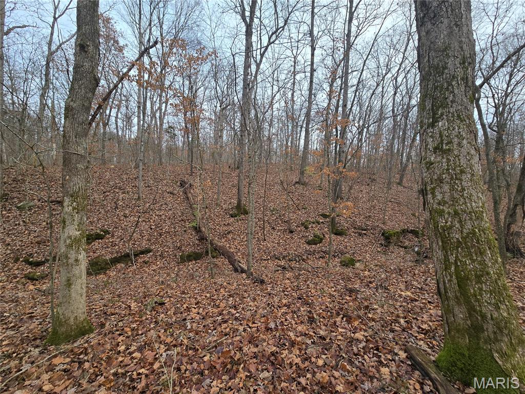 Bourbeuse Bluff Estates - Land