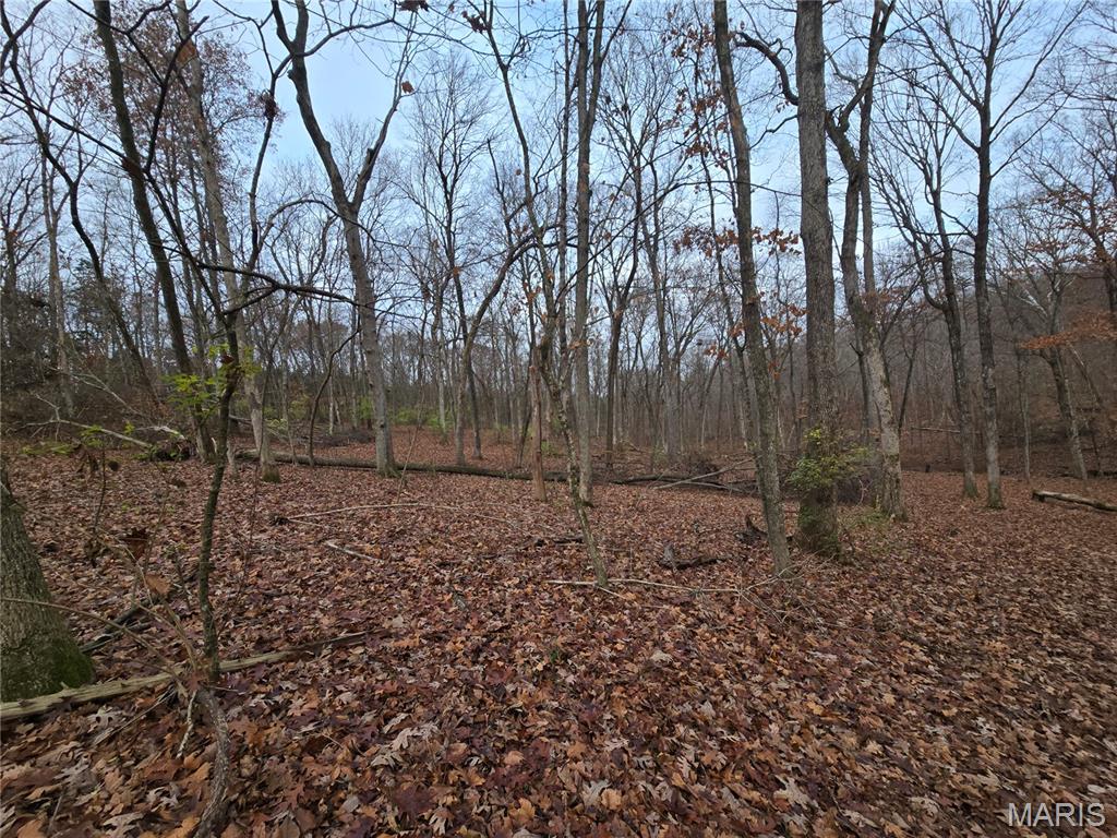 Bourbeuse Bluff Estates - Land