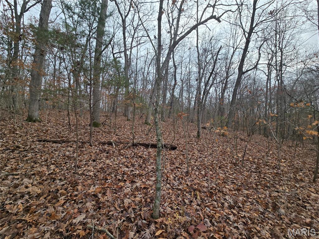 Bourbeuse Bluff Estates - Land