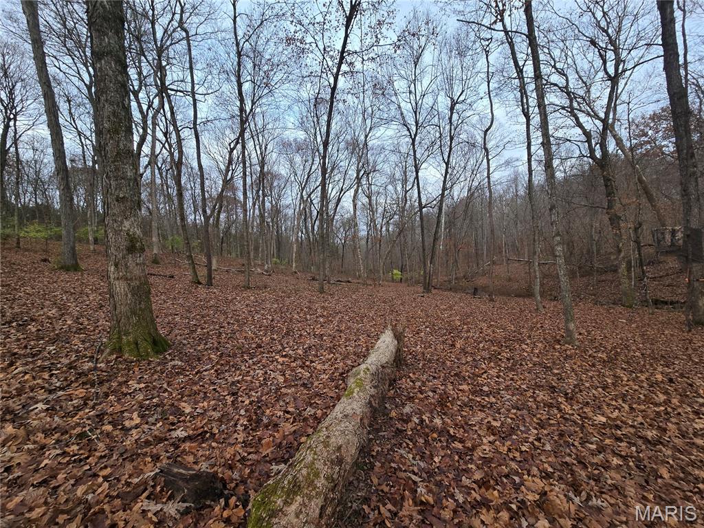 Bourbeuse Bluff Estates - Land