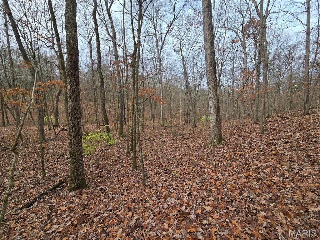 Bourbeuse Bluff Estates - Land