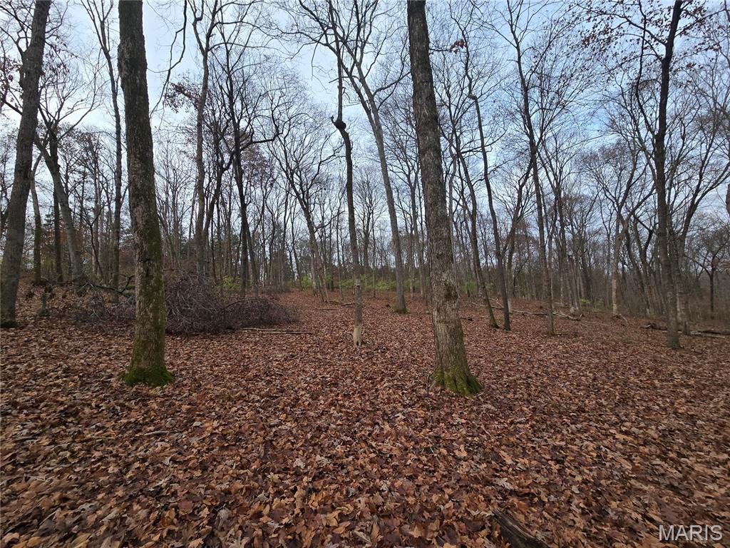 Bourbeuse Bluff Estates - Land