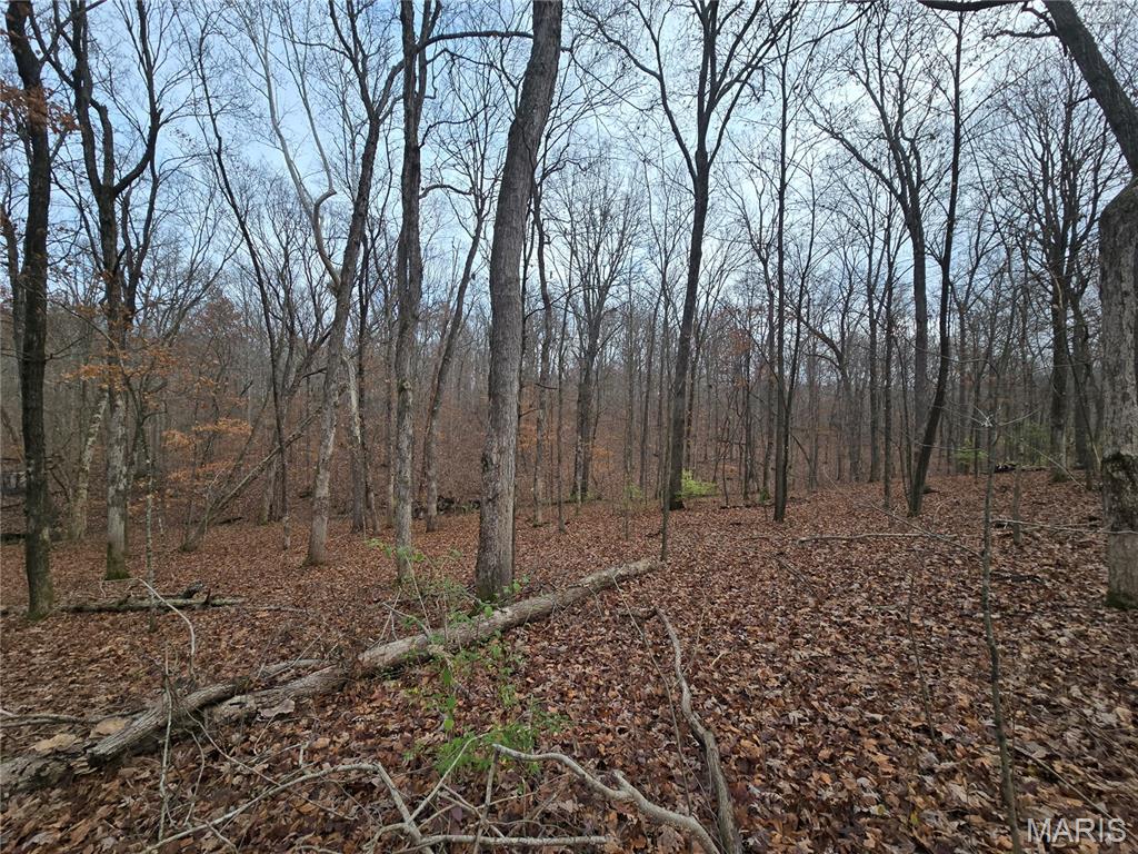 Bourbeuse Bluff Estates - Land