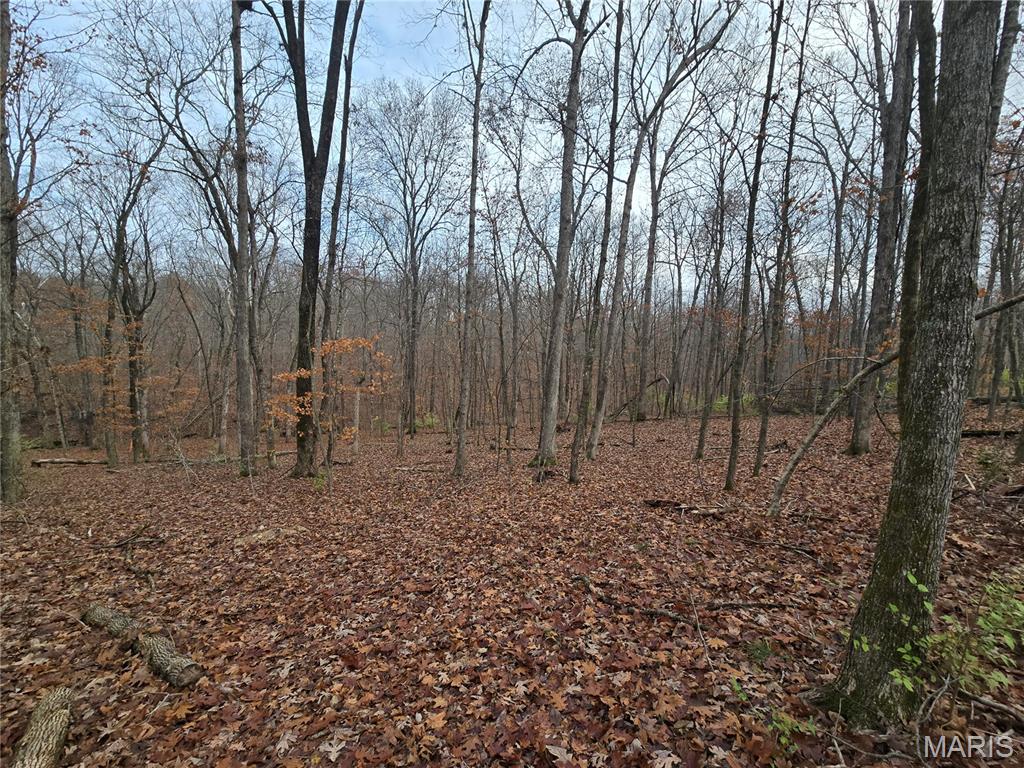 Bourbeuse Bluff Estates - Land