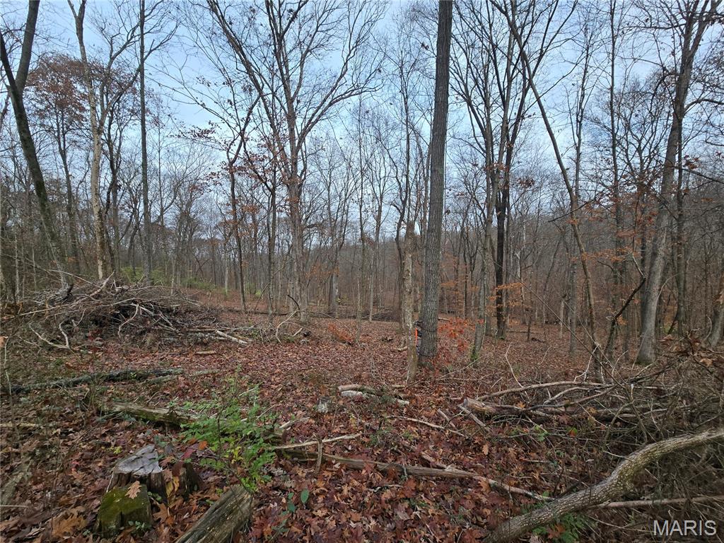 Bourbeuse Bluff Estates - Land