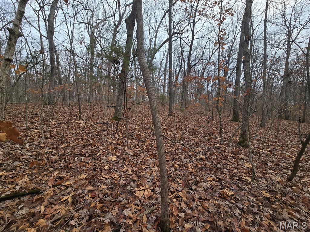 Bourbeuse Bluff Estates - Land