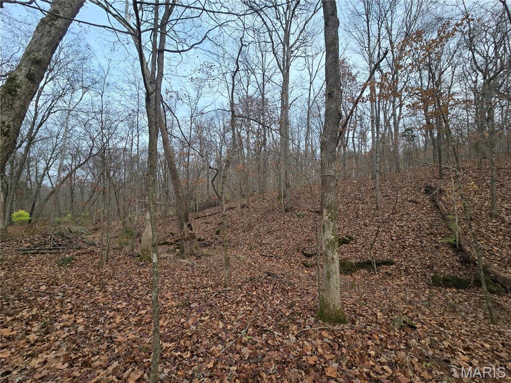 Bourbeuse Bluff Estates - Land