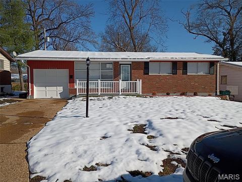 10228 Viscount Drive St Louis MO 63136