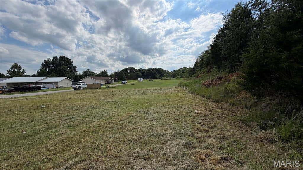 Photo of 00 Palm Tree Drive, Poplar Bluff, MO 63901 (MLS # 26037660)