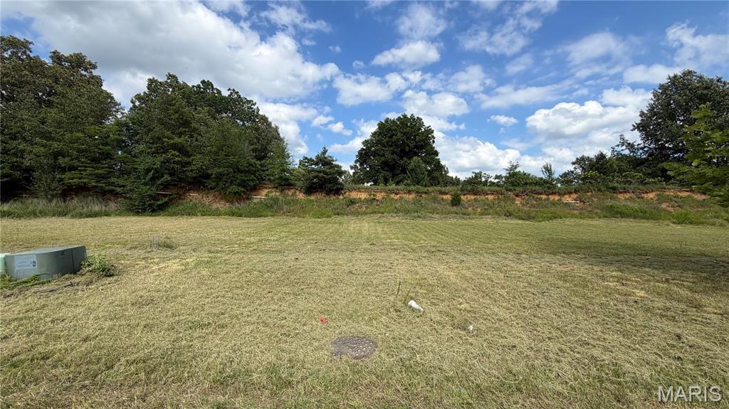 Photo of 00 Palm Tree Drive, Poplar Bluff, MO 63901 (MLS # 26037660)