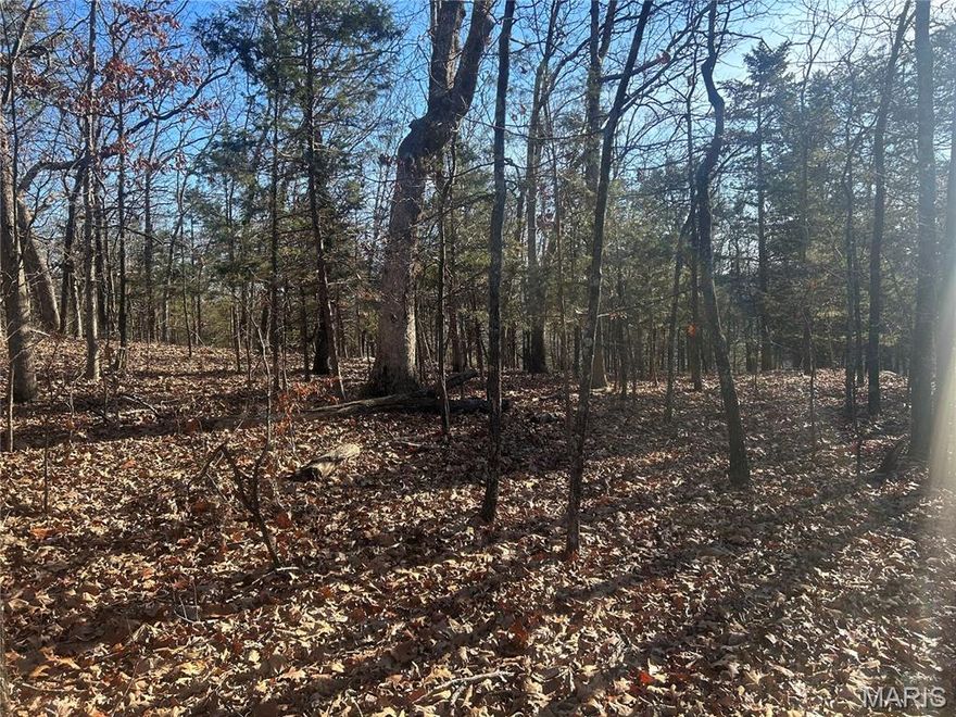 This 20.1 wooded acreage near Mark Twain National Forest offers a fantastic opportunity for outdoor enthusiasts and nature lovers.  With a deeded easement via gravel road off Madison CR 411, the property features natural rock outcroppings, cleared log landings from selective timber harvests, and preserved natural beauty. The versatile lot is ideal for hunting, camping, off-grid living, or ATV riding, making it a perfect retreat with endless possibilities for recreation and solitude.  Property is part of a larger tract.  Lot to be surveyed before closing.  Additional acreage available.  Seller offering surveying, see the document with survey pricing.

Seller is offering owner financing: 
20% down payment
10% interest
20 year amortization schedule
3 year balloon note
Buyer pays document prep fees
Buyer pays all their own closing cost
Buyer pays survey fee