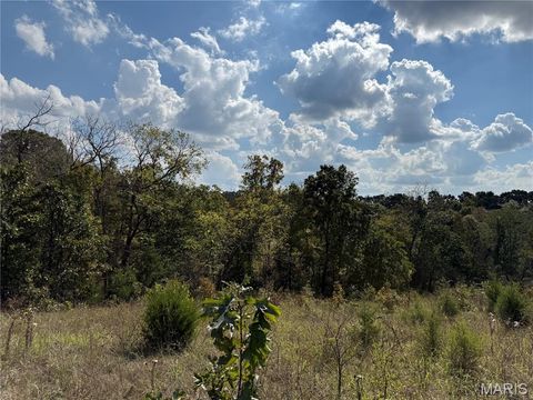 Tiny photo for 000 County Road 6160 and 6210, Edgar Springs, MO 65462 (MLS # 25067596)