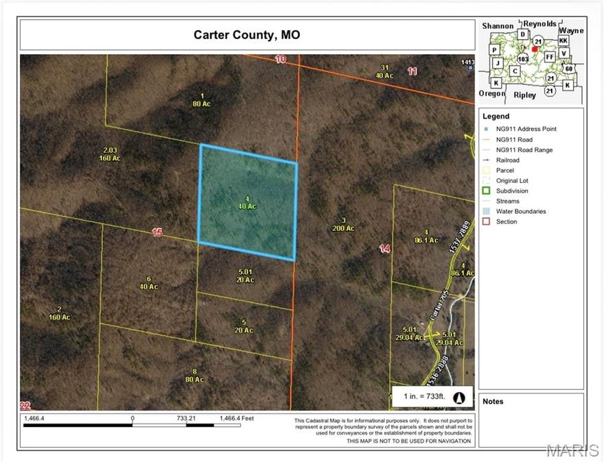 40 m/l acres of undeveloped land offering outstanding hunting and recreational opportunities. This private acreage features a mix of natural timber and terrain ideal for wildlife, outdoor exploration, or a secluded future build site. Directly adjoining Pioneer Forest, you gain access to additional acres right out your back door. A rare opportunity to own your own slice of the Ozarks with endless potential.