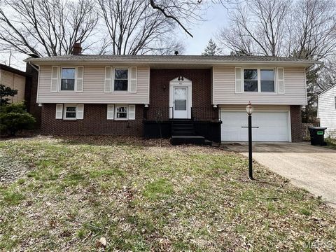 Photo of 421 Stone River Road, Belleville, IL 62221 (MLS # 26016638)