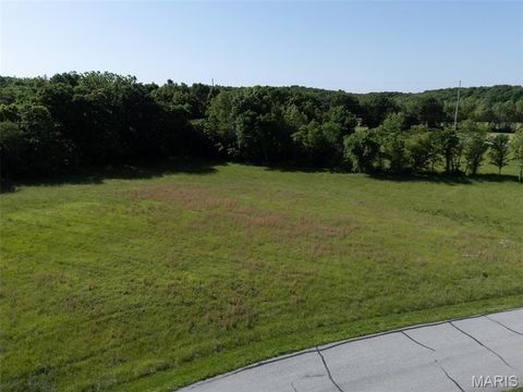 Tiny photo for 10 Parc Forest Trail, Hawk Point, MO 63349 (MLS # 26032080)