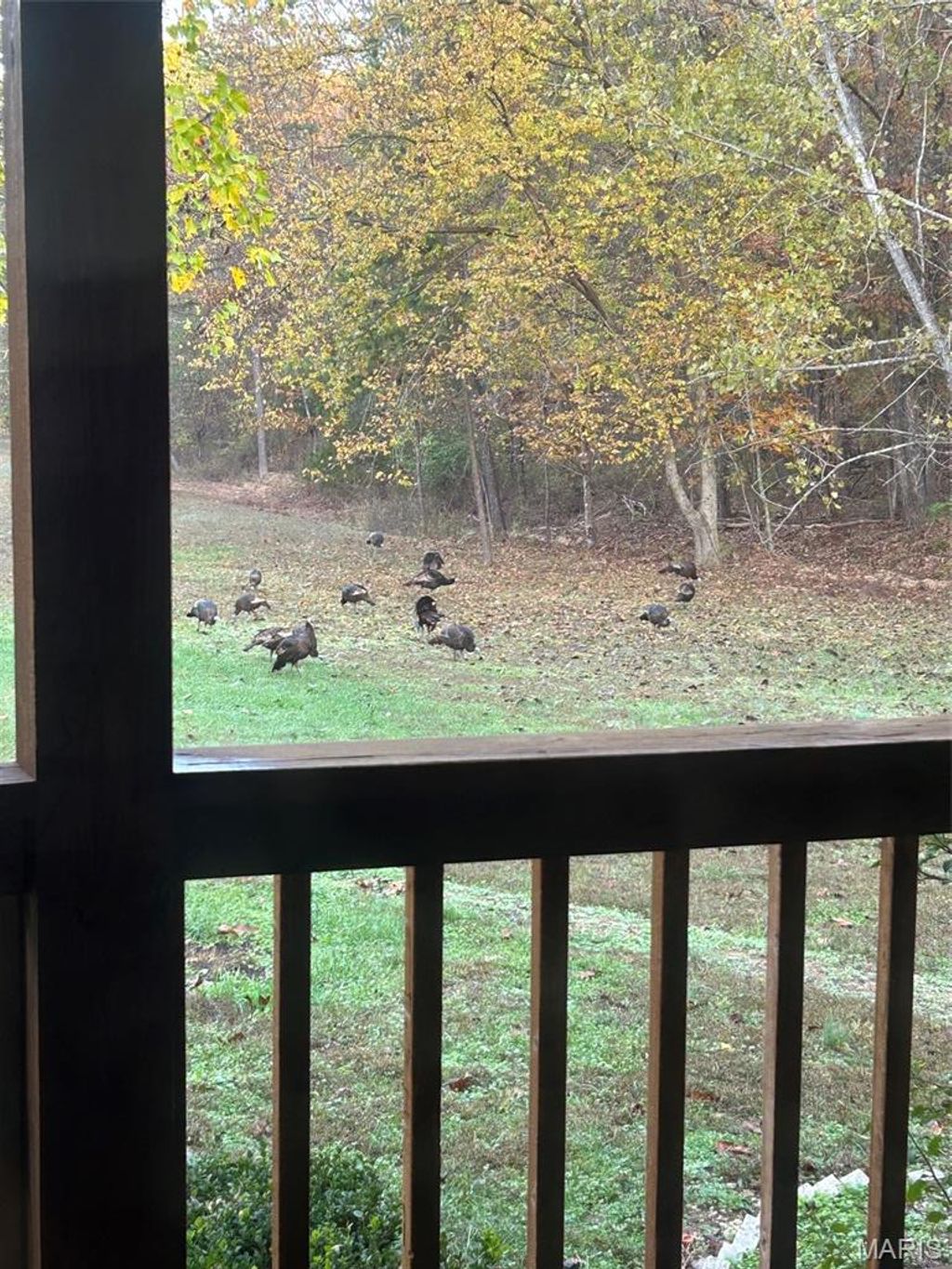 Photo of 714 CR 584, Piedmont, MO 63957 (MLS # 26037101)