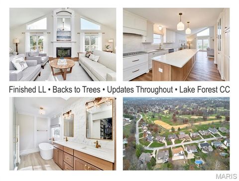 1116 S Charlemagne Drive Lake St Louis MO 63367